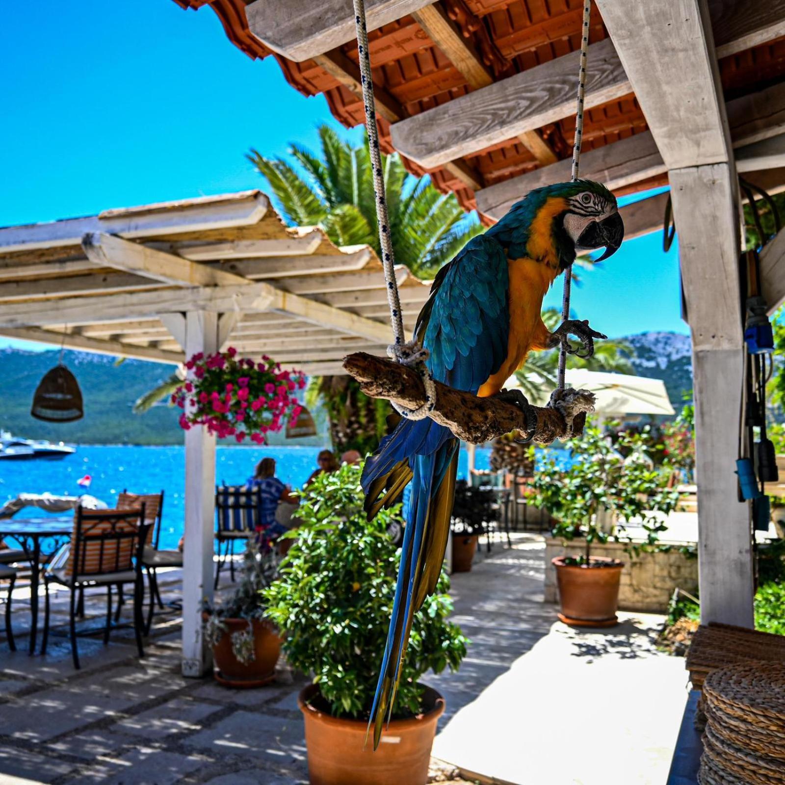 Villa Rava Hotel & Restaurant Εξωτερικό φωτογραφία